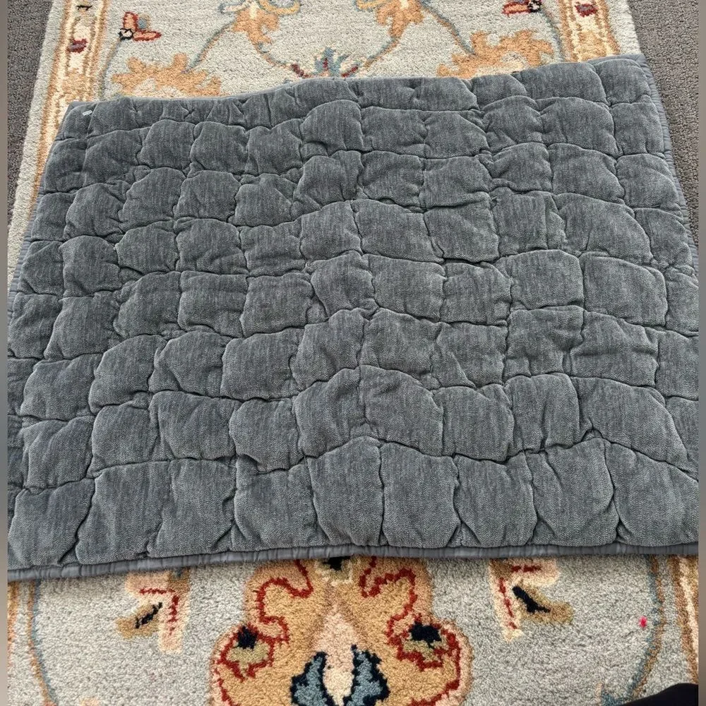 Pottery Barn Cozy Cloud Quilt Steel Blue Standard ShamSham